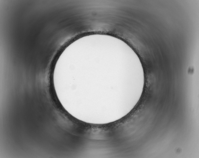 X0000103960632200809191512