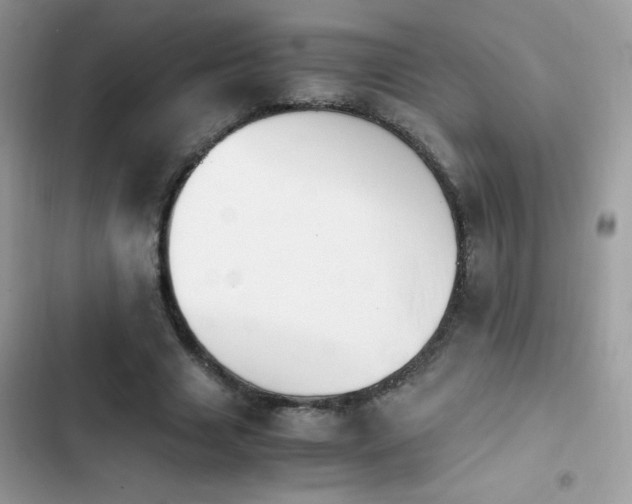 X0000103960633200809191512