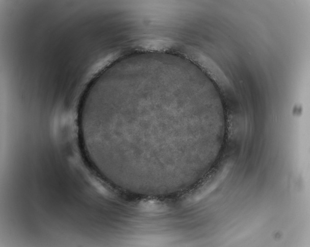 X0000103960634200809191512