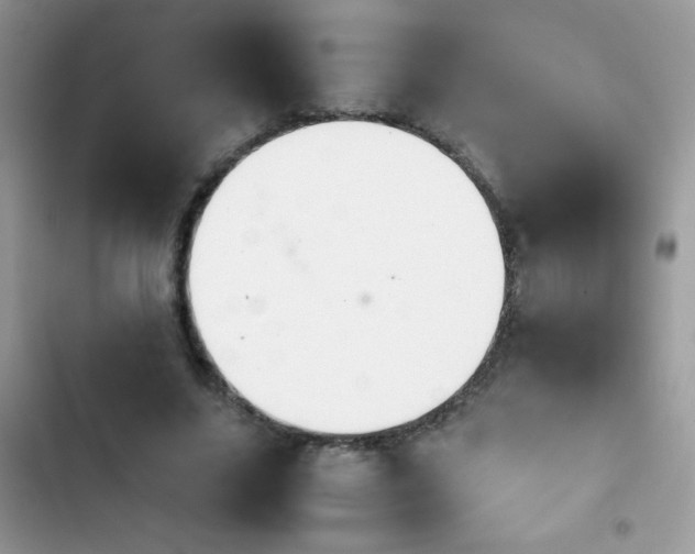 X0000103960635200809191512