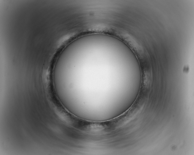 X0000103960636200809191512