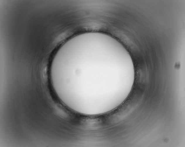 X0000103960638200809191512