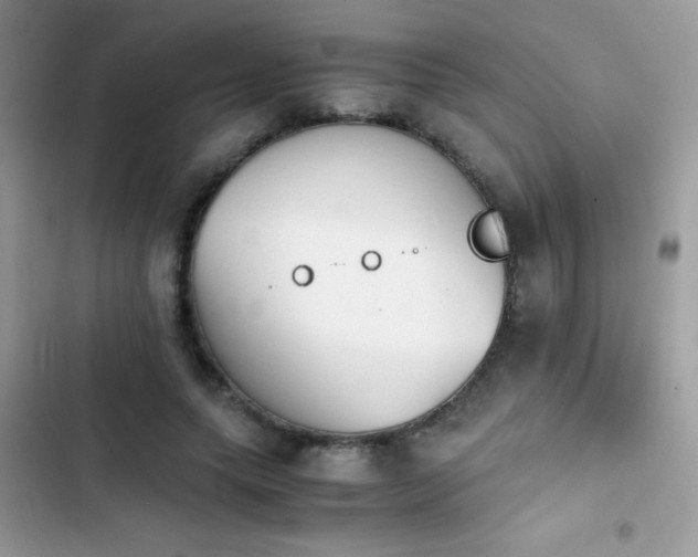 X0000103960639200809191512