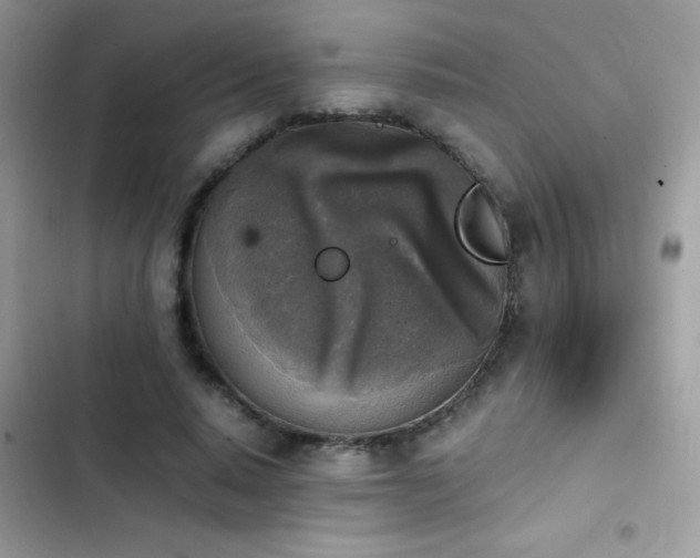 X0000103960640200809191512