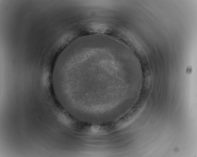 X0000103960641200809191512
