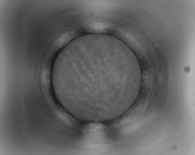 X0000103960642200809191512