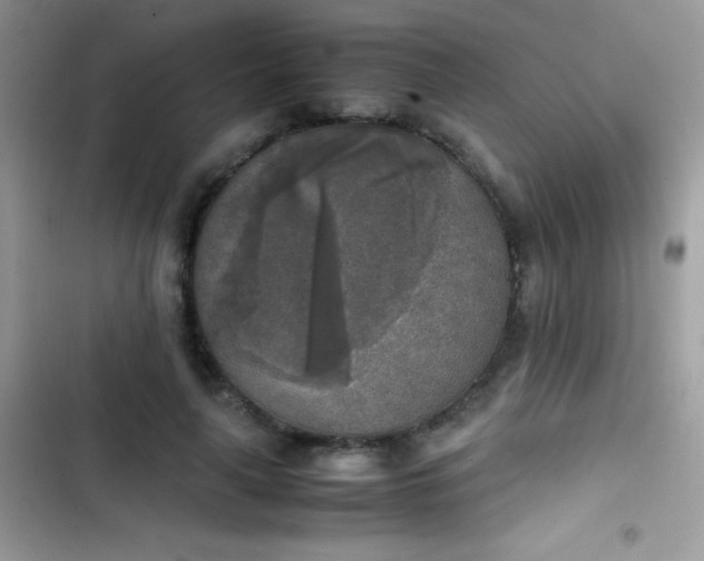 X0000103960643200809191512