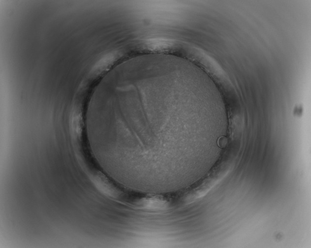 X0000103960644200809191512