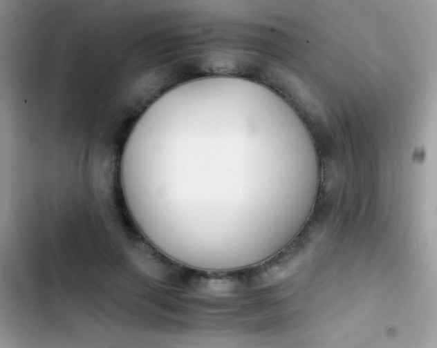 X0000103960645200809191512