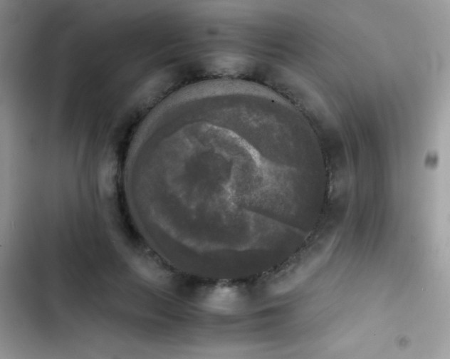 X0000103960647200809191512
