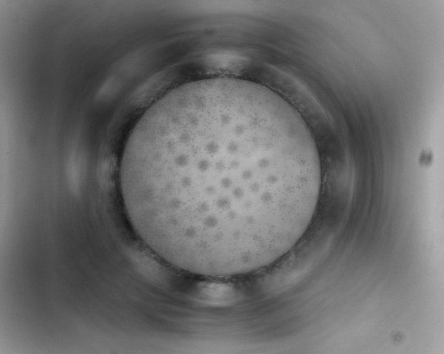 X0000103960649200809191512