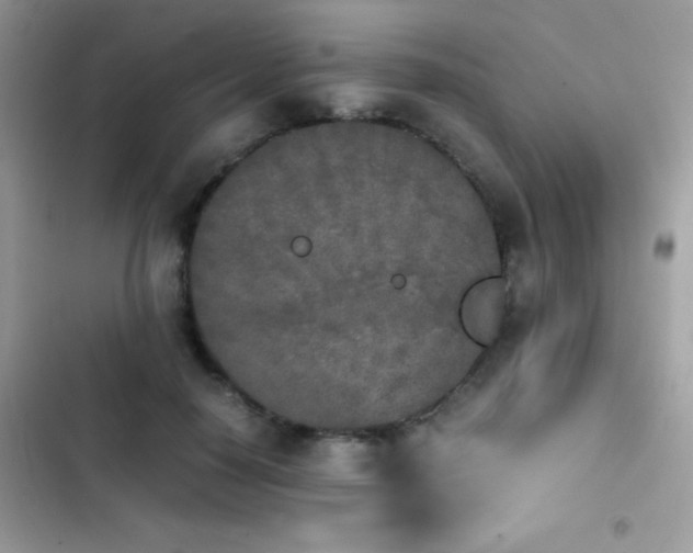 X0000103960650200809191512