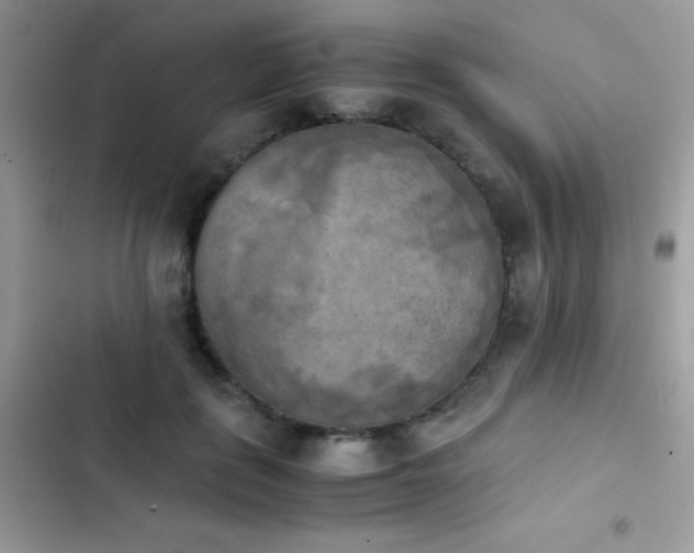 X0000103960651200809191512
