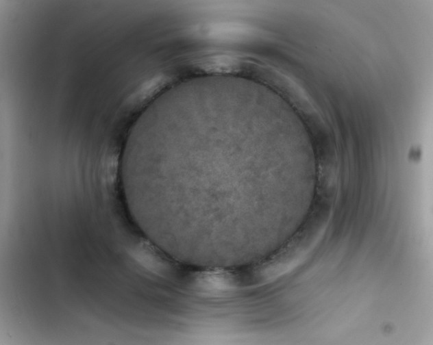X0000103960652200809191512