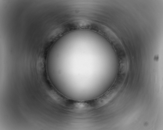 X0000103960654200809191512