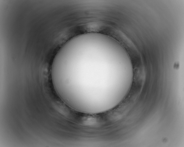 X0000103960655200809191512