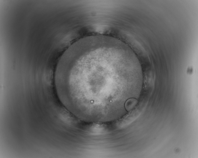 X0000103960656200809191512