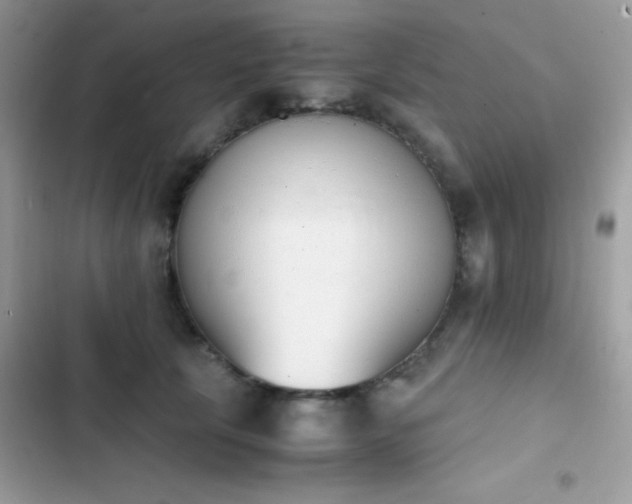 X0000103960657200809191512