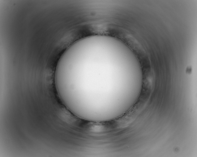 X0000103960658200809191512