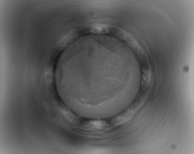 X0000103960659200809191512