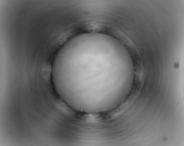 X0000103960660200809191512