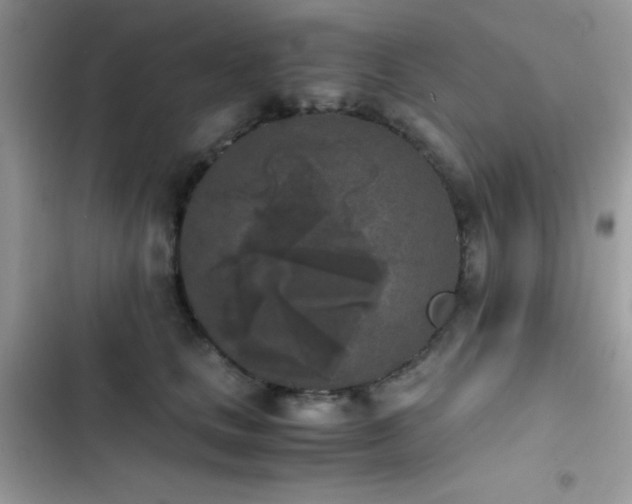 X0000103960661200809191512