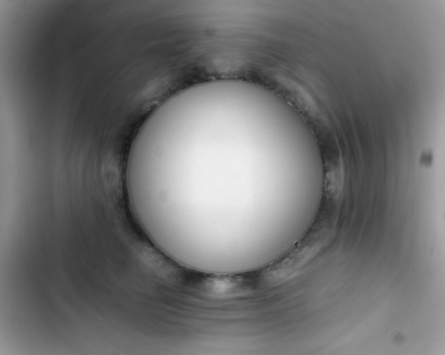 X0000103960662200809191512