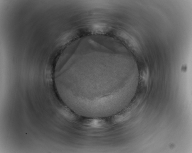 X0000103960663200809191512