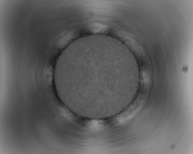 X0000103960664200809191512