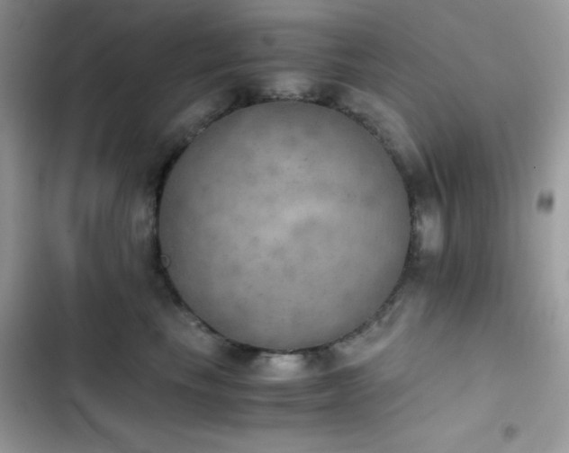 X0000103960665200809191513