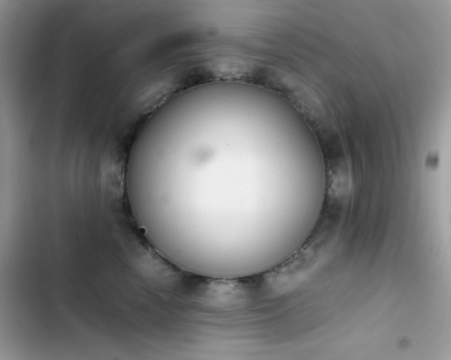 X0000103960666200809191513