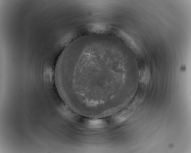 X0000103960669200809191513
