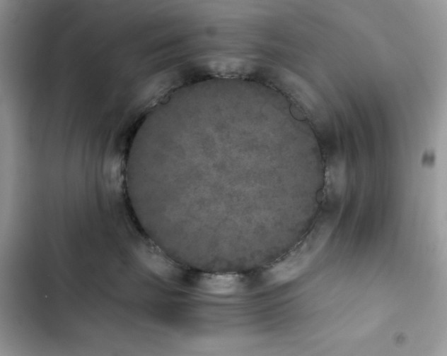 X0000103960671200809191513