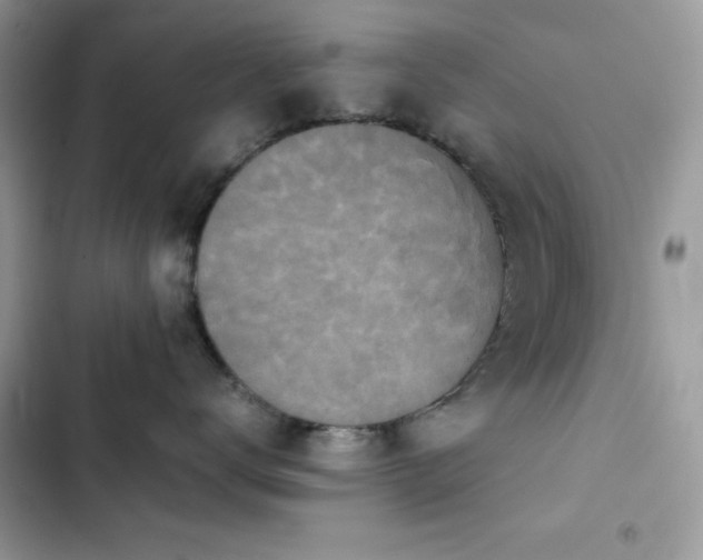 X0000103960672200809191513