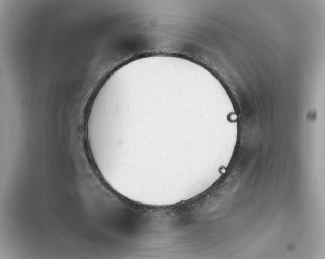 X0000103960673200809191512