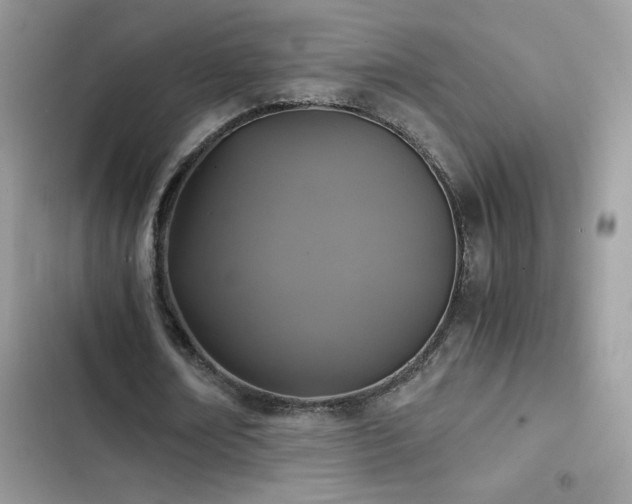 X0000103960674200809191512