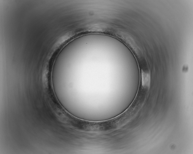 X0000103960675200809191512