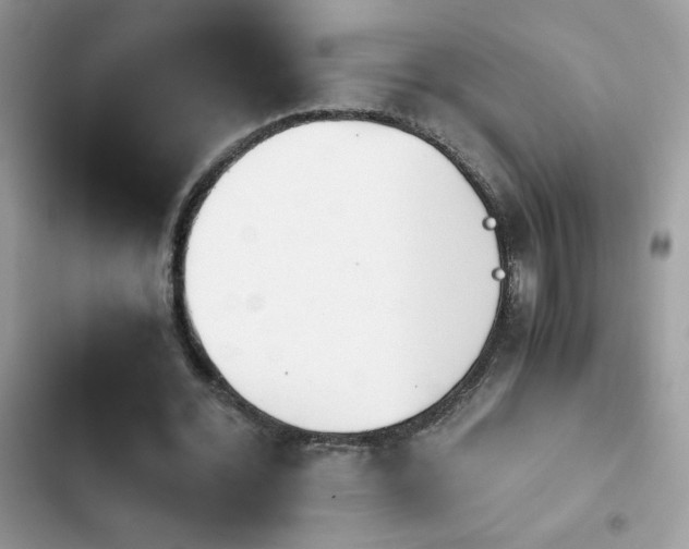 X0000103960676200809191512