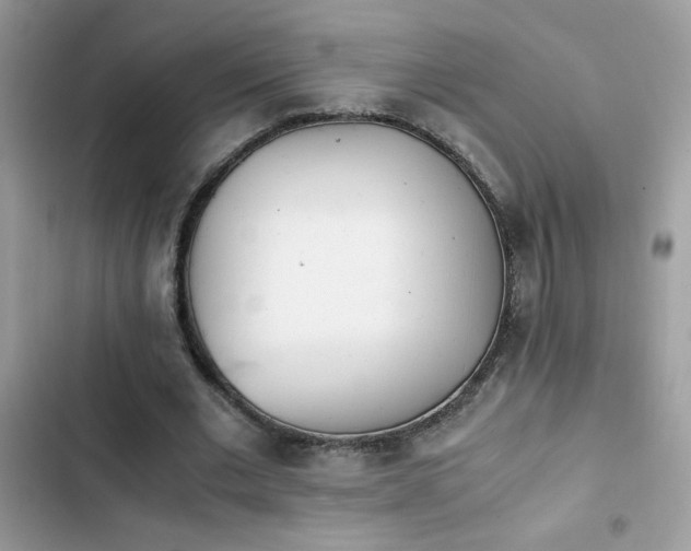 X0000103960677200809191512