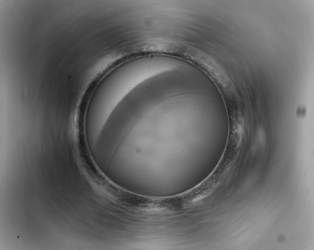 X0000103960678200809191512