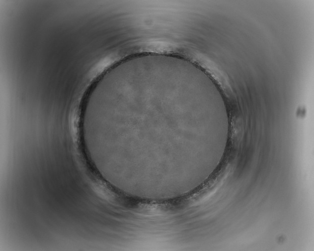 X0000103960679200809191512