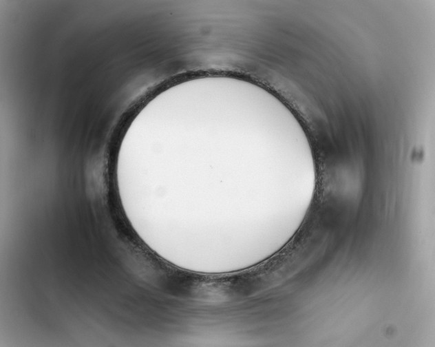 X0000103960680200809191512