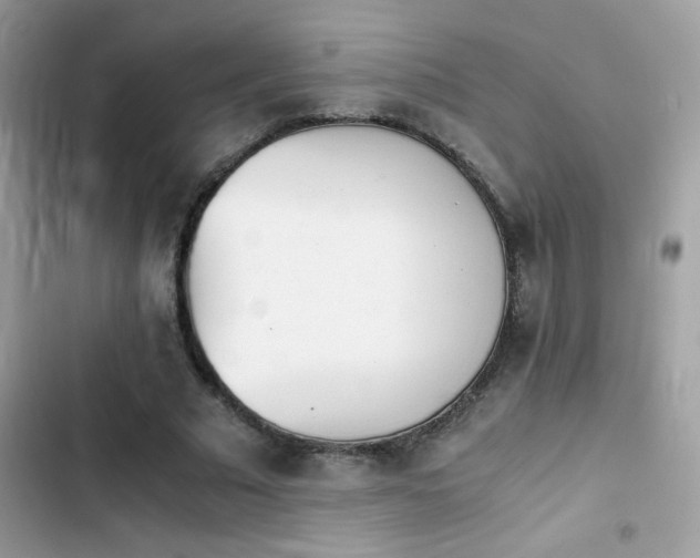 X0000103960681200809191512