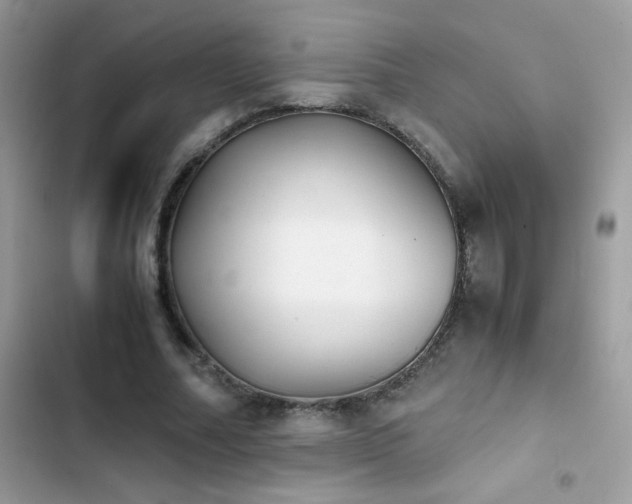 X0000103960682200809191512