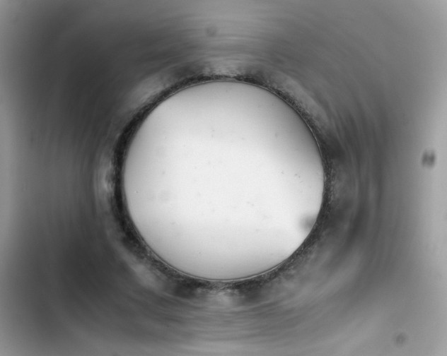 X0000103960683200809191512