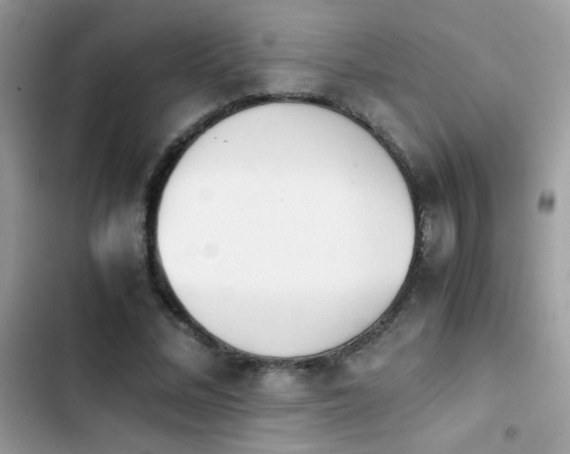 X0000103960684200809191512