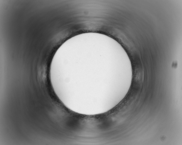 X0000103960685200809191512