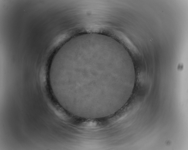 X0000103960687200809191512