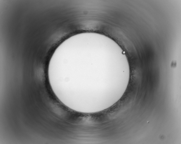 X0000103960688200809191512