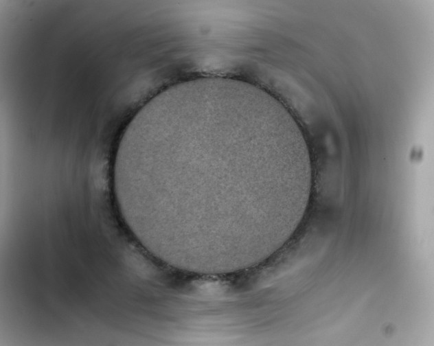 X0000103960689200809191512